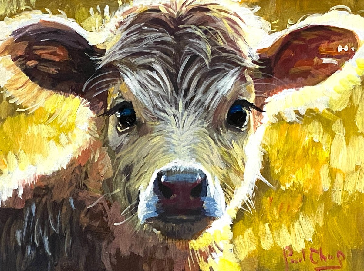 Calf by Paul Cheng