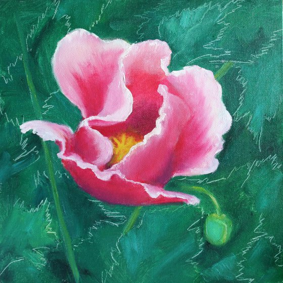 Pink Poppy - Flower portrait /  ORIGINAL PAINTING