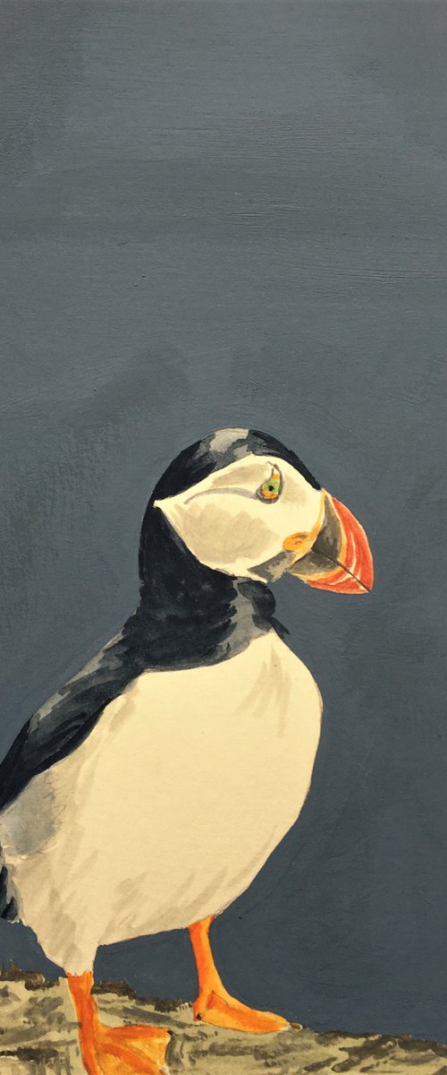 Puffin #4 by Laurence Wheeler