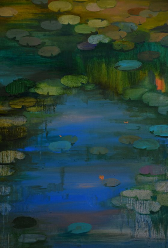 Lily pond. Solstice