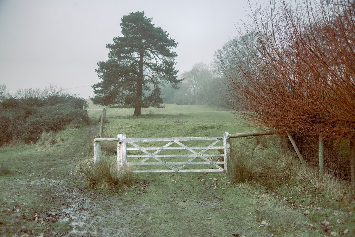 Five Bar Gate by Adam Regan