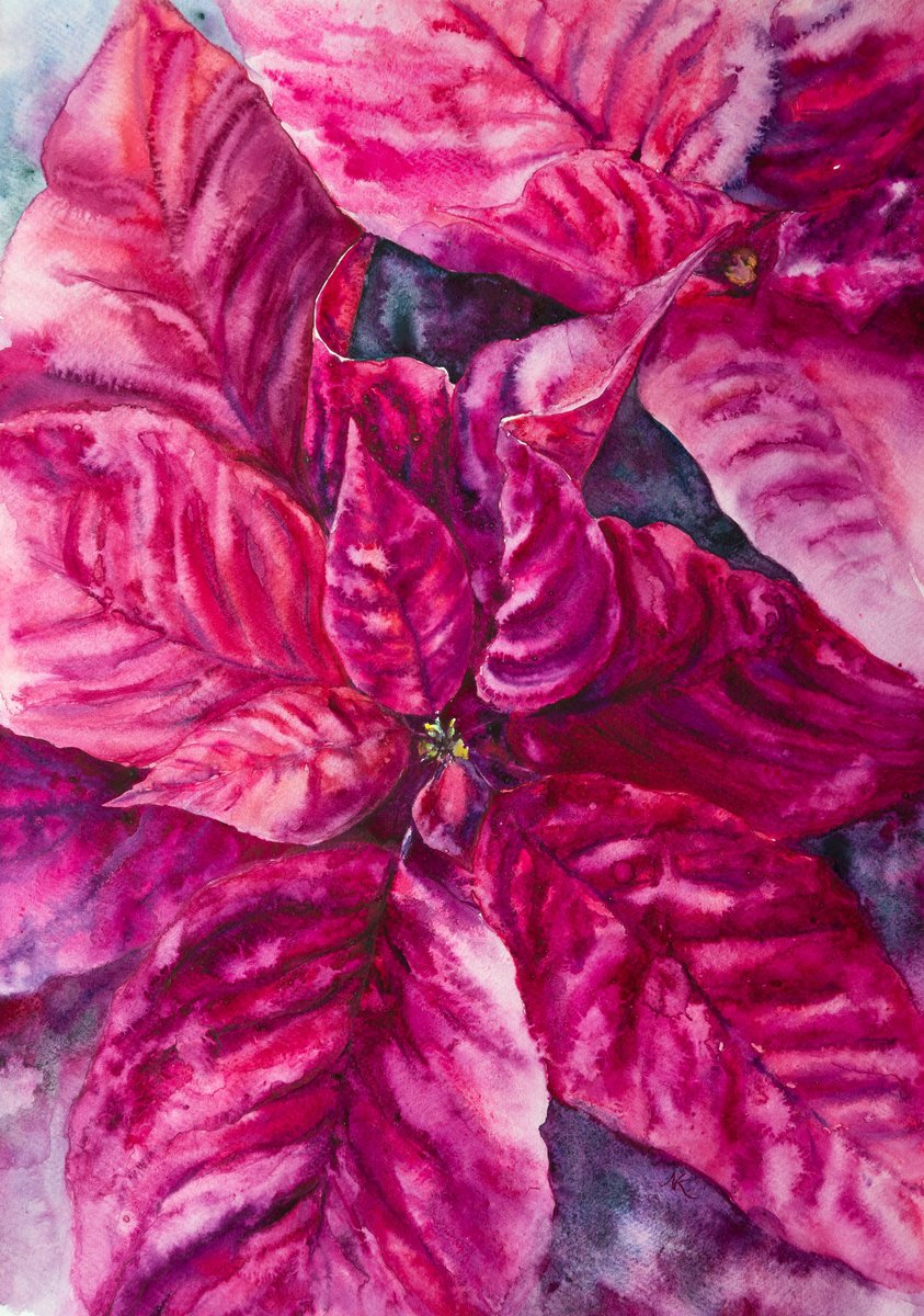 Impressionistic Botanical Watercolour By Kateryna Nazarenko, 12 X 17", Poinsettia Magenta Flower, Original Artwork
