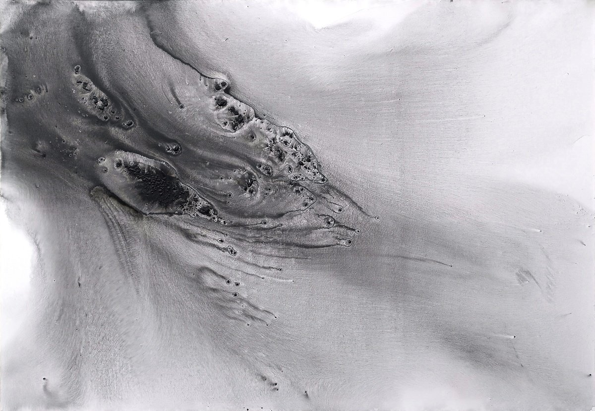  Nature 533 By Muriel Napoli, 79 X 55, Artwork For Sale On Artfinder
