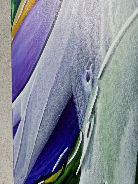 Transcended boundaries II
