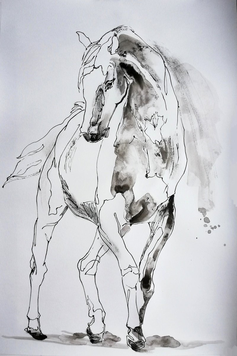 Impressionistic Animal Ink Drawing By Jelena Djokic, 14 X 20, White Mark, Original Artwork