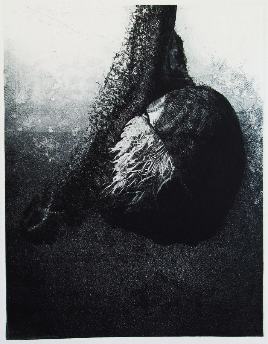 Surrealistic Botanical Etchings & Engravings By Kristina Vatova, 15 X 22", "Teget Ii", Original Artwork