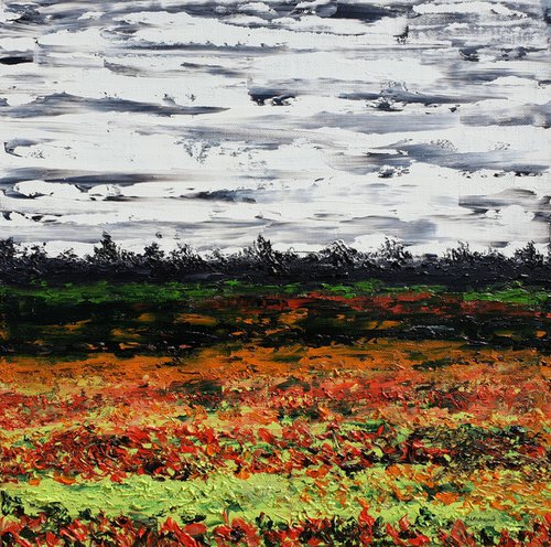Meadow after rain 2 by Daniel Urbaník