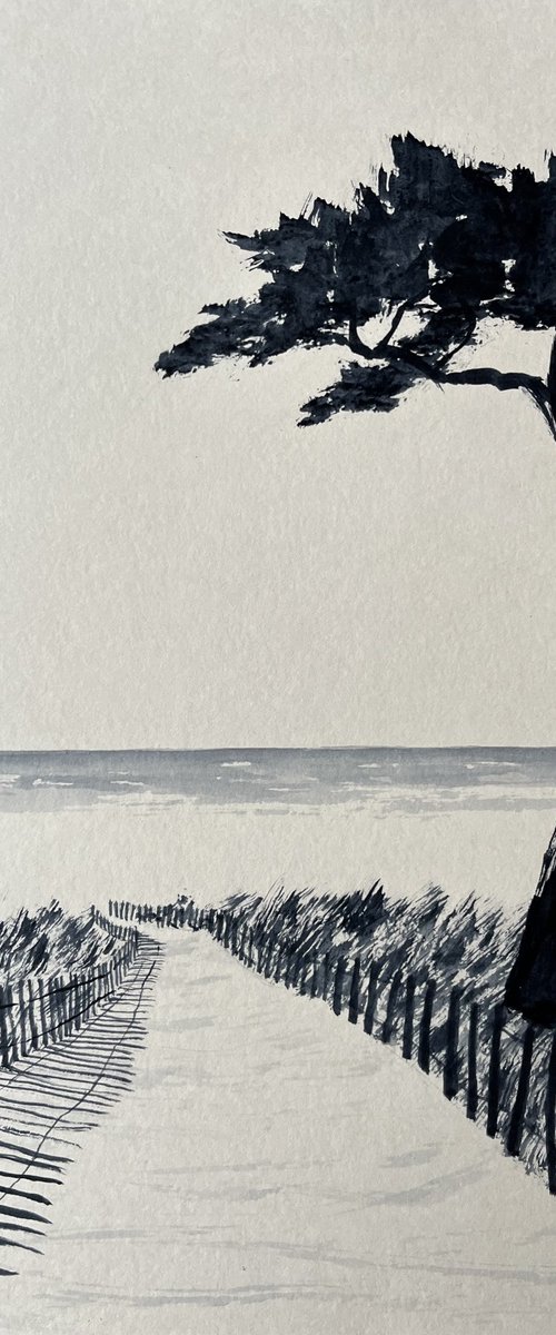 Ganivelles by Cadiou Frederic