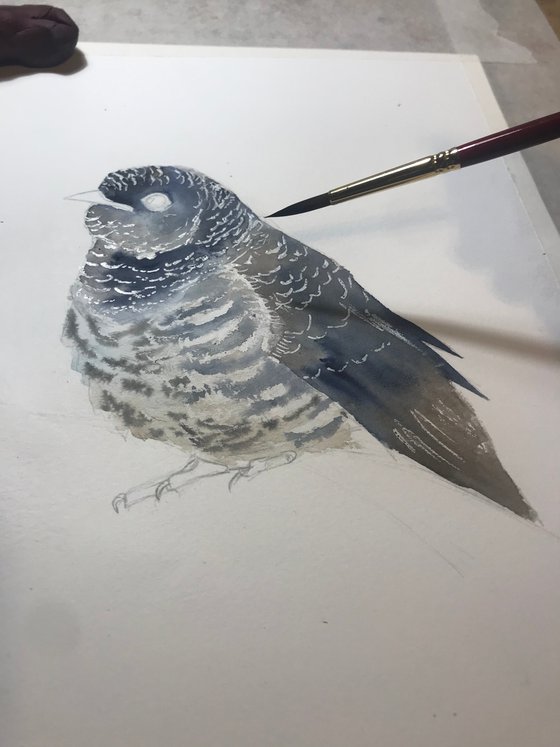 Common cuckoo chick watercolour bird painting