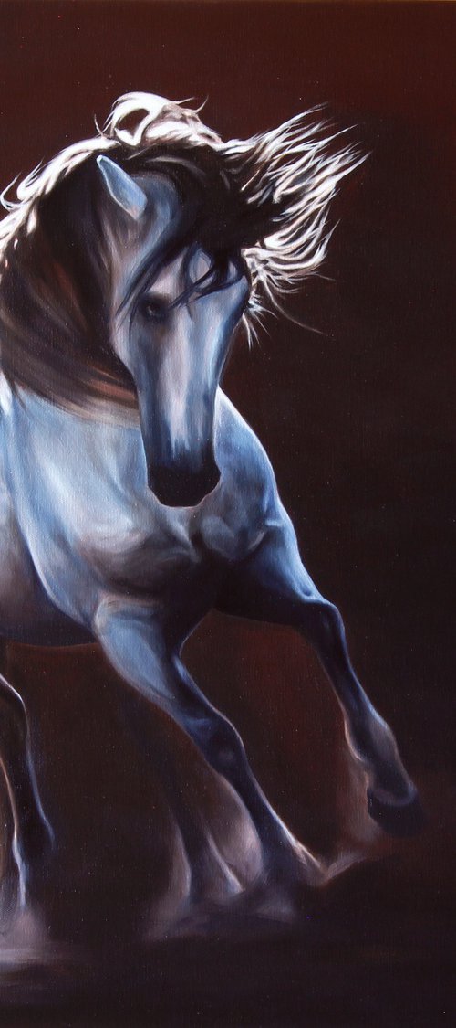 Beauty in the arena by Marie Madej