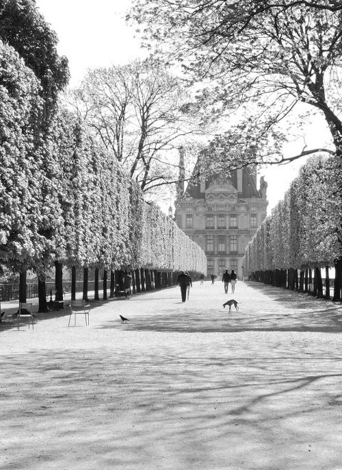 Jardin des Tuileries by Alex Cassels