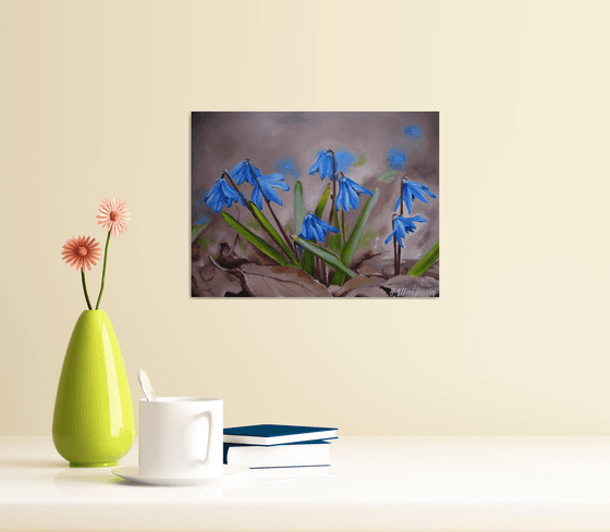 Blue Scilla in Early Spring