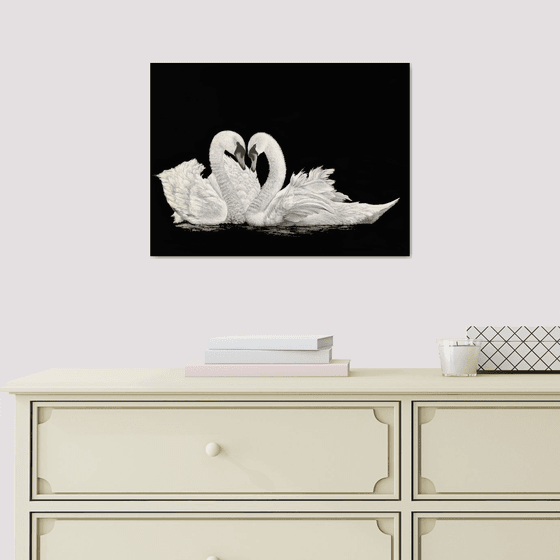 Swans in Love