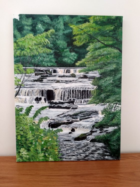 Aysgarth Falls