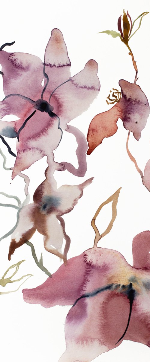 Rose Study No. 62 by Elizabeth Becker