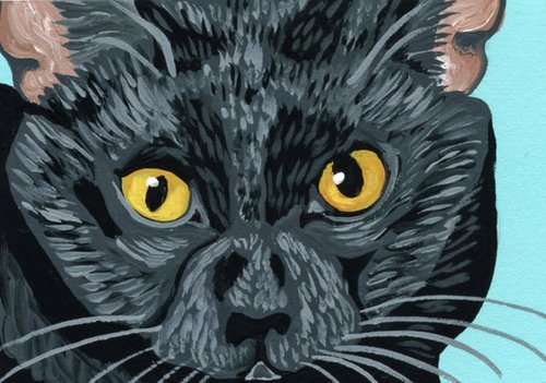 Bombay Black Cat by Carla Smale