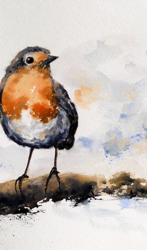 A Robin by Graham Kemp