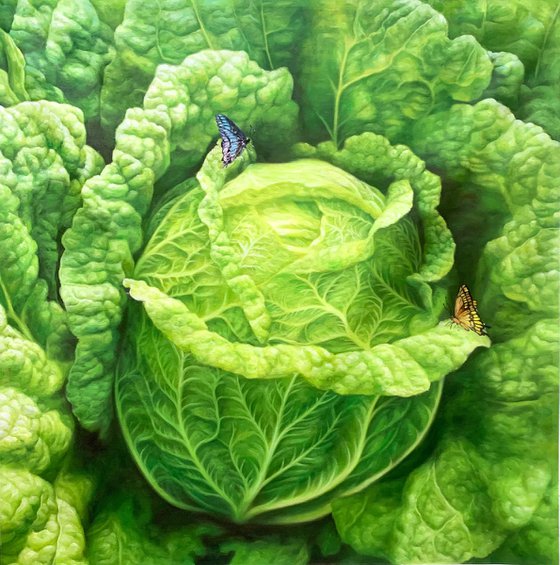 Cabbage c192