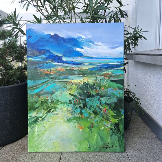 Summer in the mountains IV