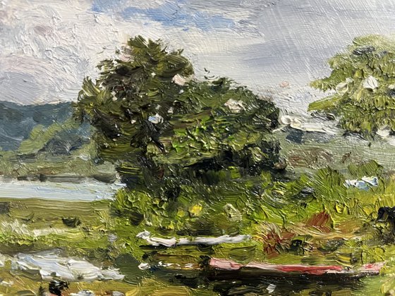 Soft Sunlight and Rain Clouds
