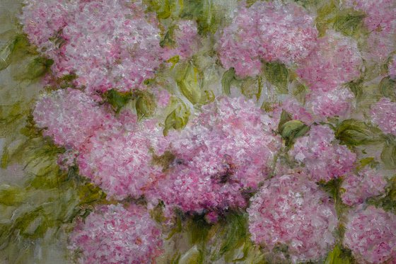 Pink Breath of Summer