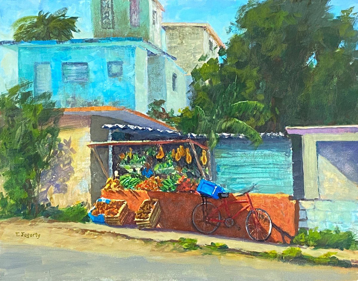 Caribbean Street Vendor by Tatyana Fogarty