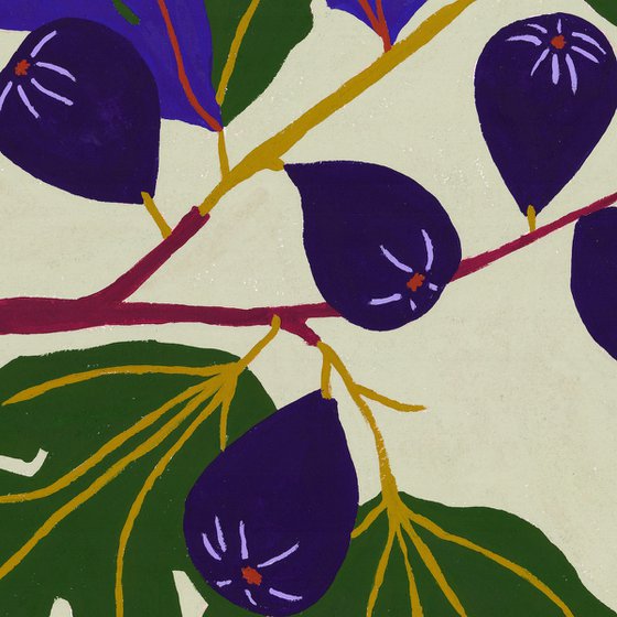 Fig tree