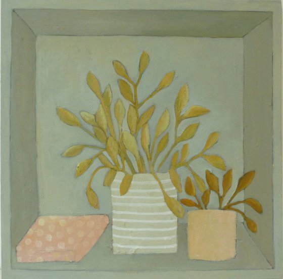 Pot Plants