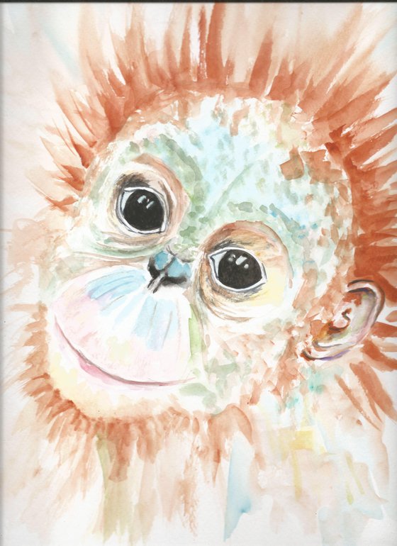 Orangutan Baby Monkey
