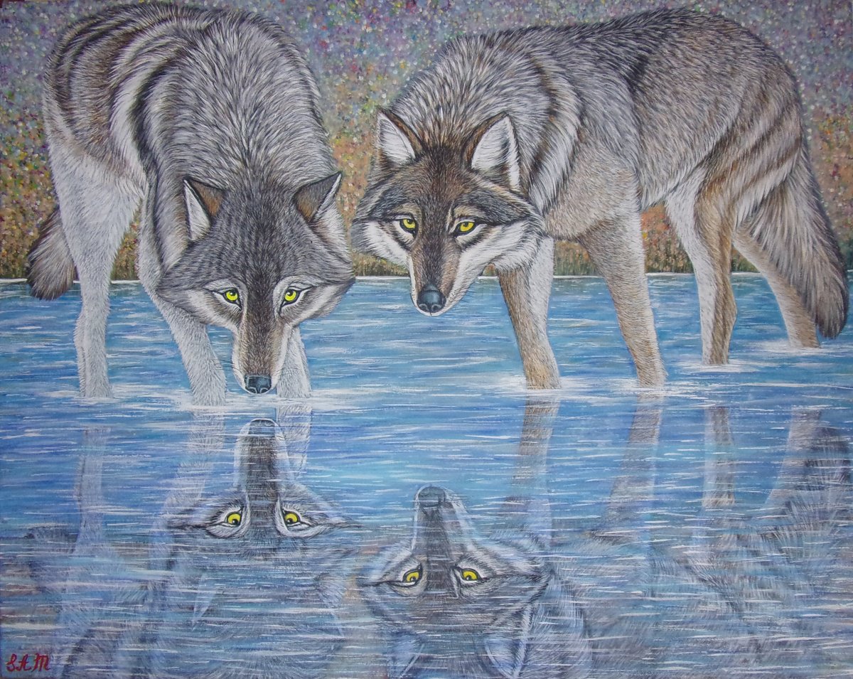 Wolves Reflection by Sofya Mikeworth