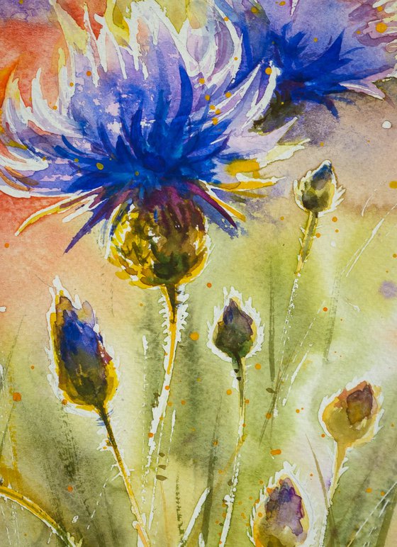 Red poppies and blue cornflowers (diptych)