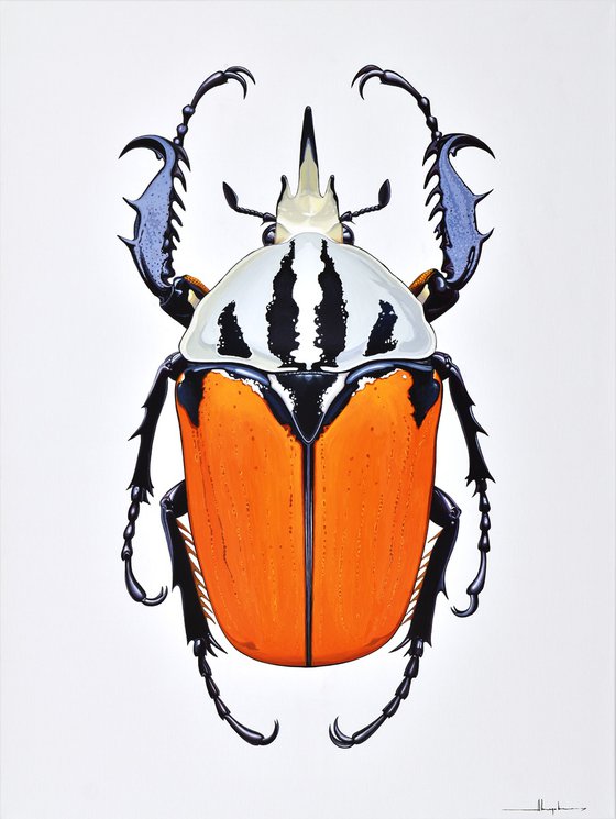 Flower Beetle #1