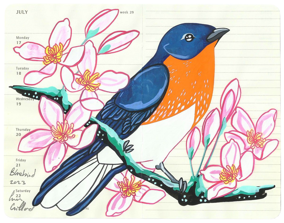 Birds of North America: Bluebird by Fran Giffard
