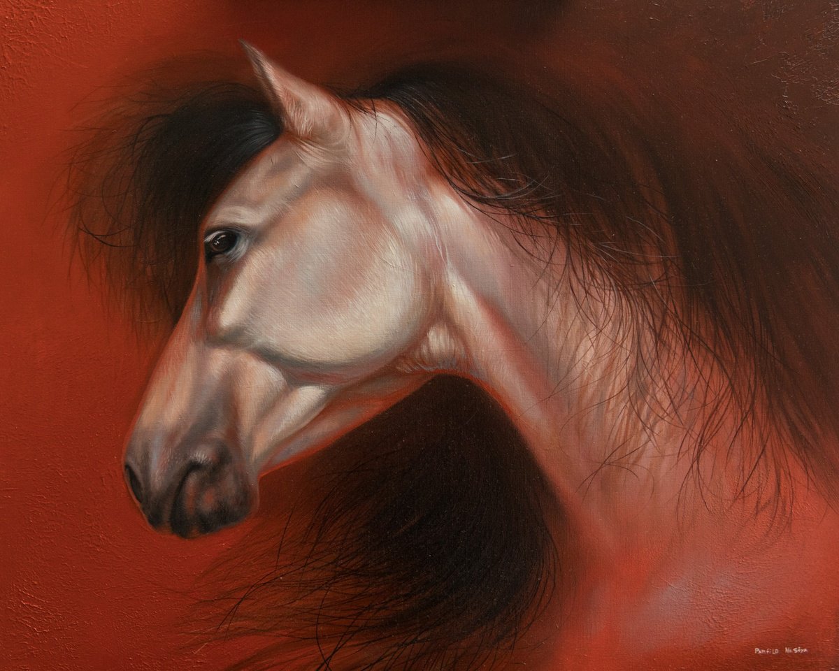 Horse Portrait by Anastasia Parfilo