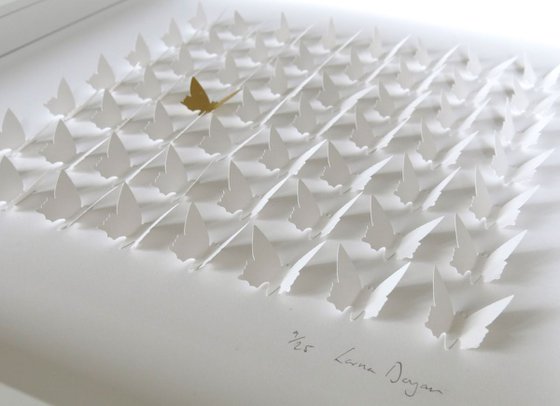 Classic Butterfly Box White