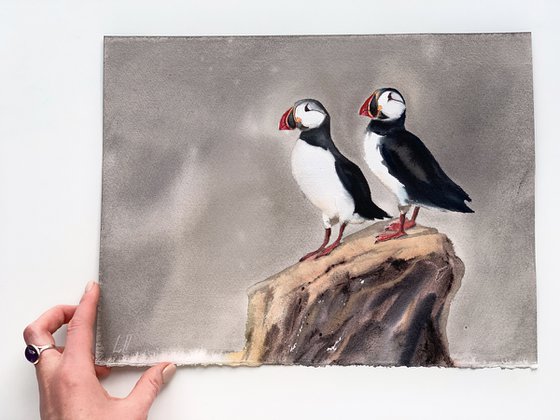 Puffins