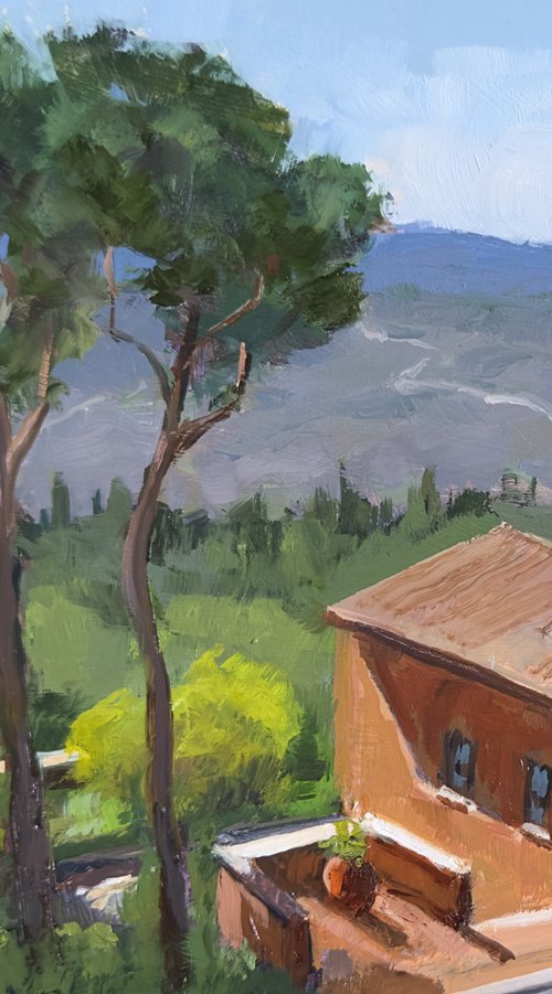 Tuscan view by Toni Swiffen