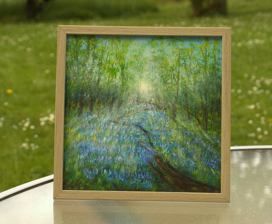 Bluebell woodland
