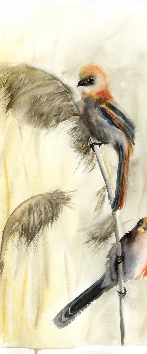 Two birds on a reed stalk #1 by Olga Tchefranov (Shefranov)