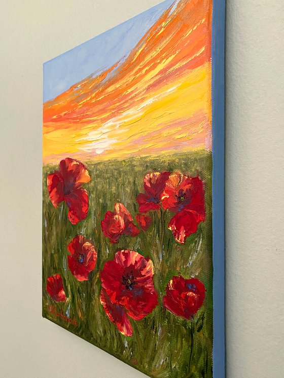 Warm poppies