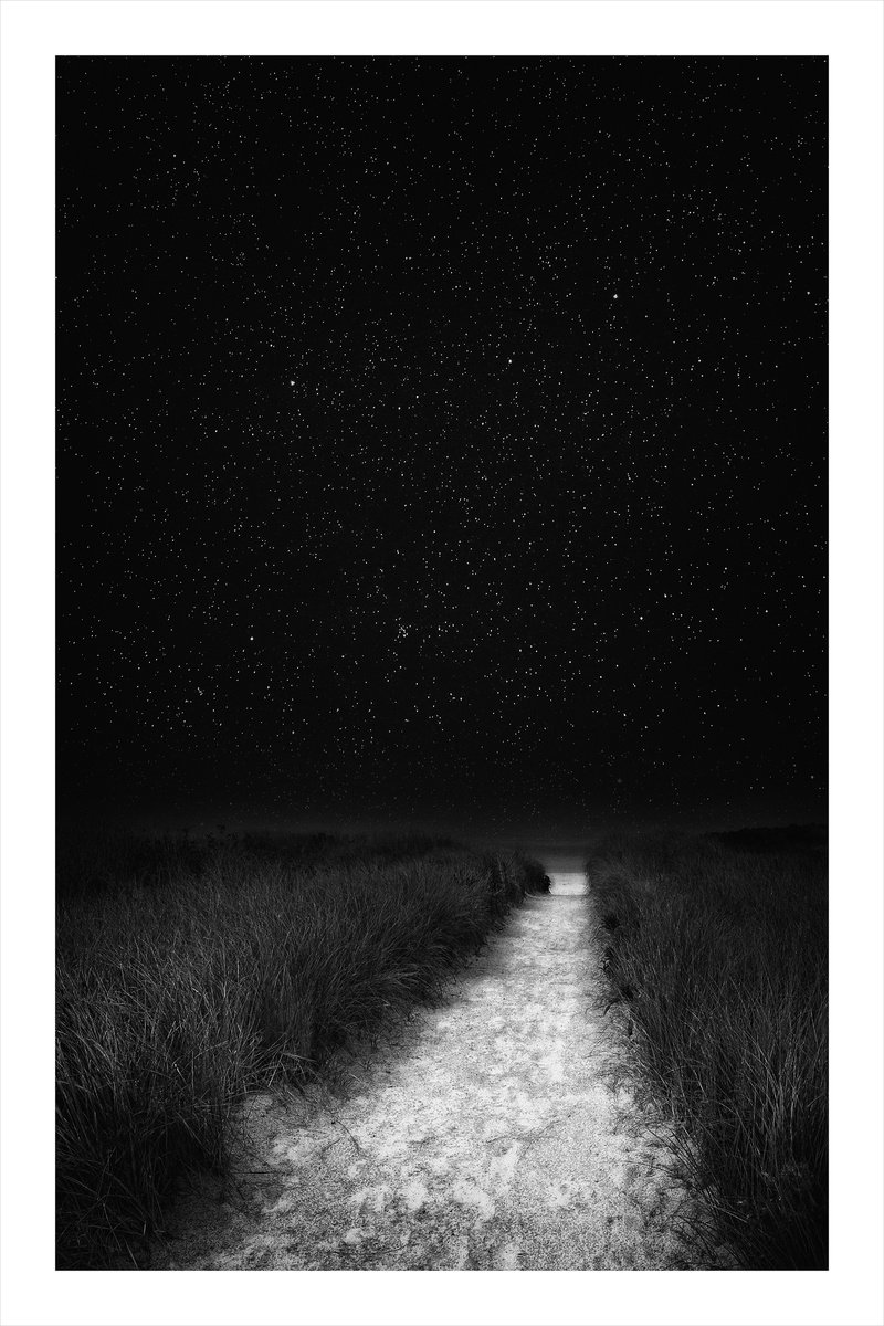 Beach Path at Night - 16 x 24 by Brooke T Ryan
