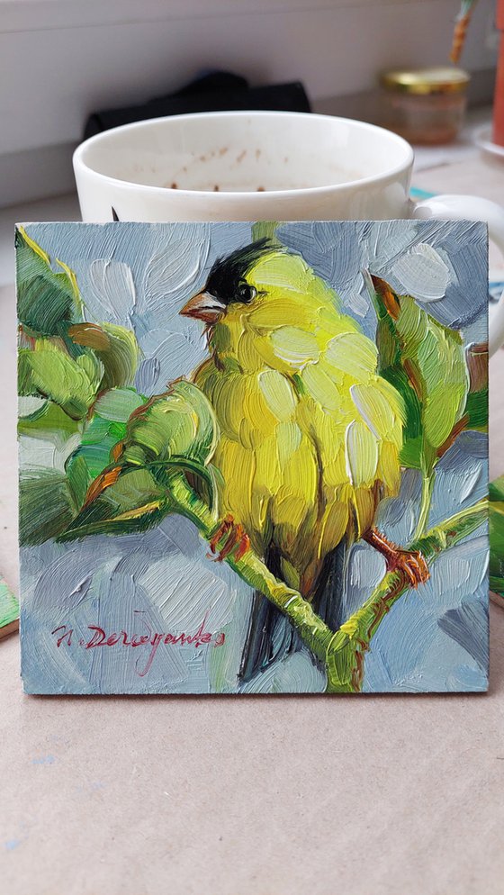 American goldfinch bird painting original 4x4 in oil, Framed painting yellow bird on green branch, Small painting of birds gift for bird lovers