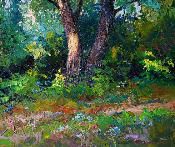 Willows in the summer forest