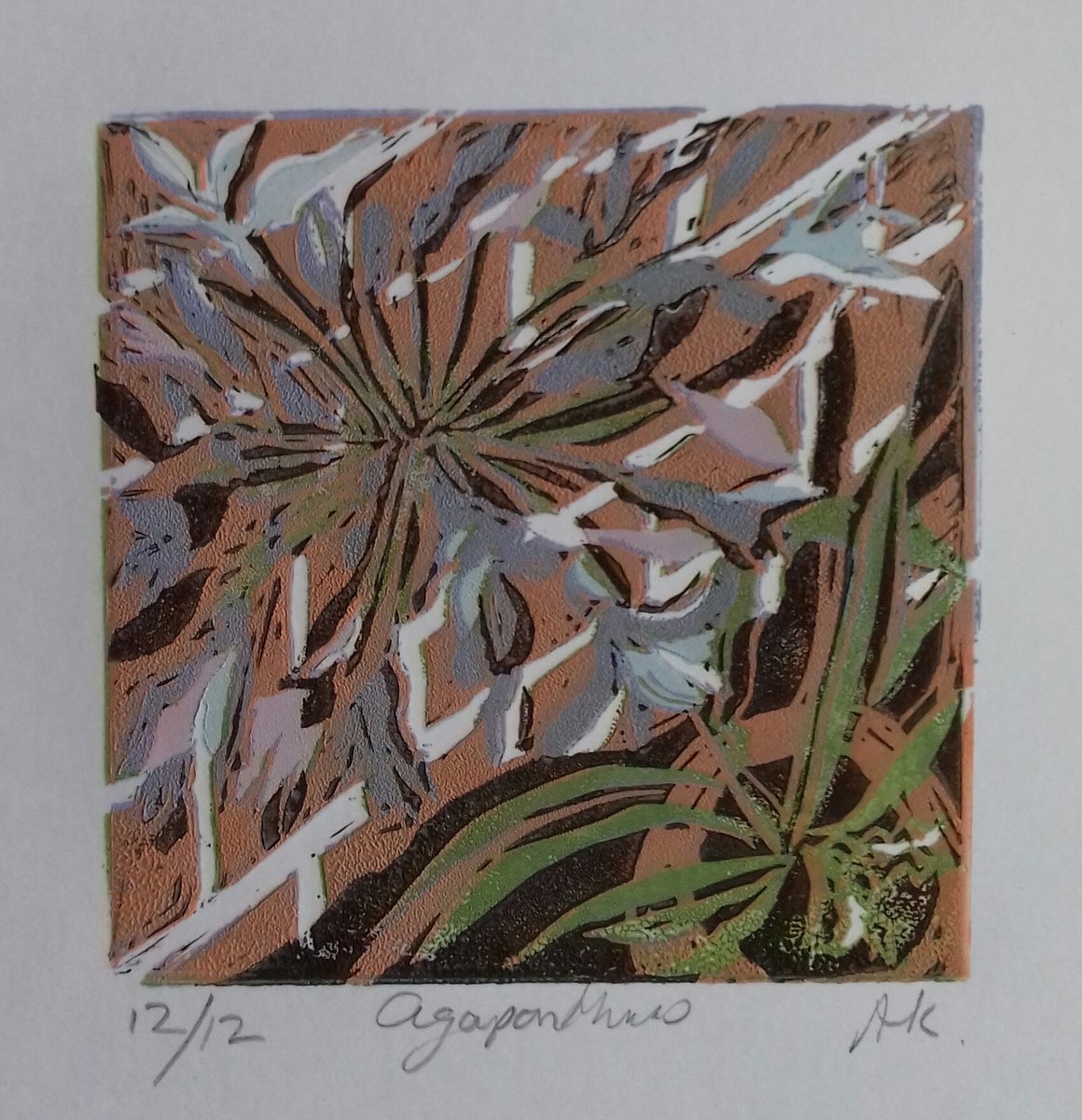 Agapanthus Reduction Linocut by Ann Kilroy