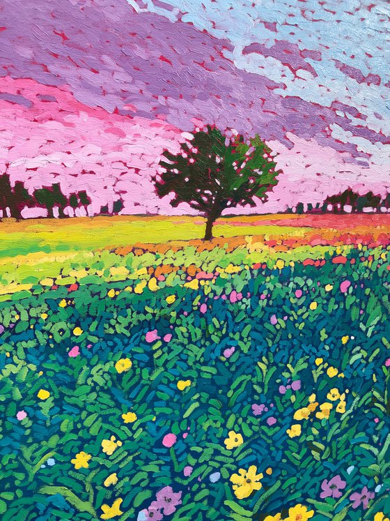 Blooming fields