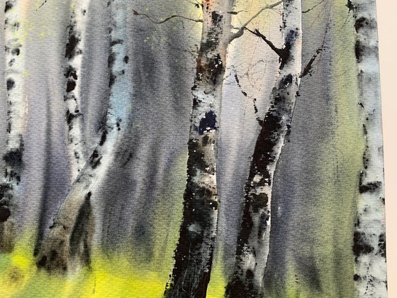 Birch Grove #2