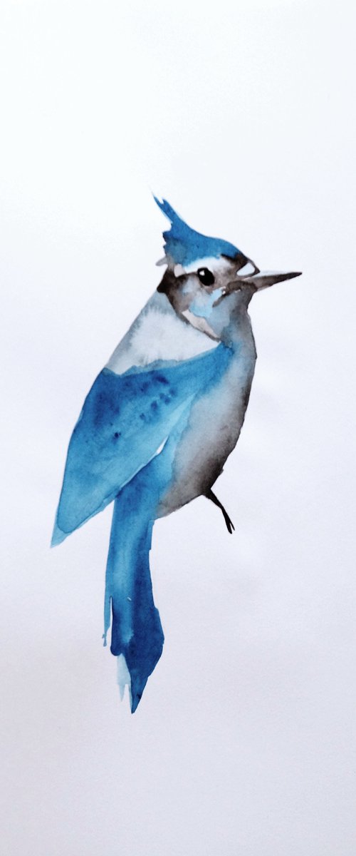 Bird by Nadia Moniatis
