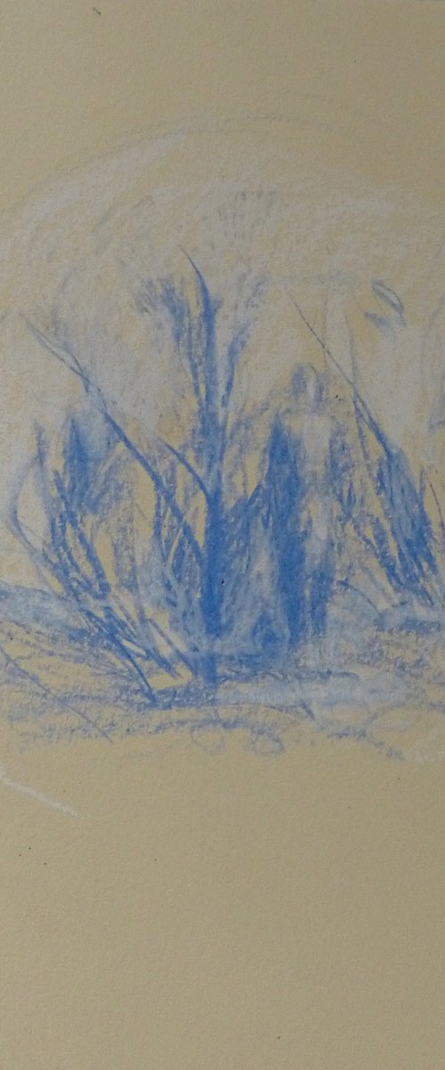 The Forest by Frederic Belaubre