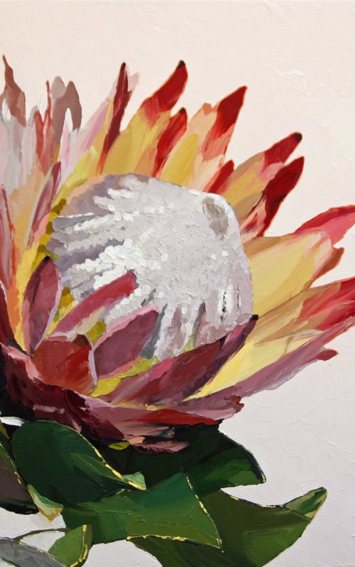 Protea #1 by Claire McCall