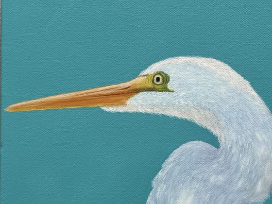 Great Egret
